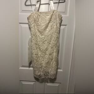 Adrianna Papell  Lace Dress Size 10